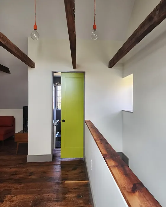 Sherwin Williams Hep Green door color