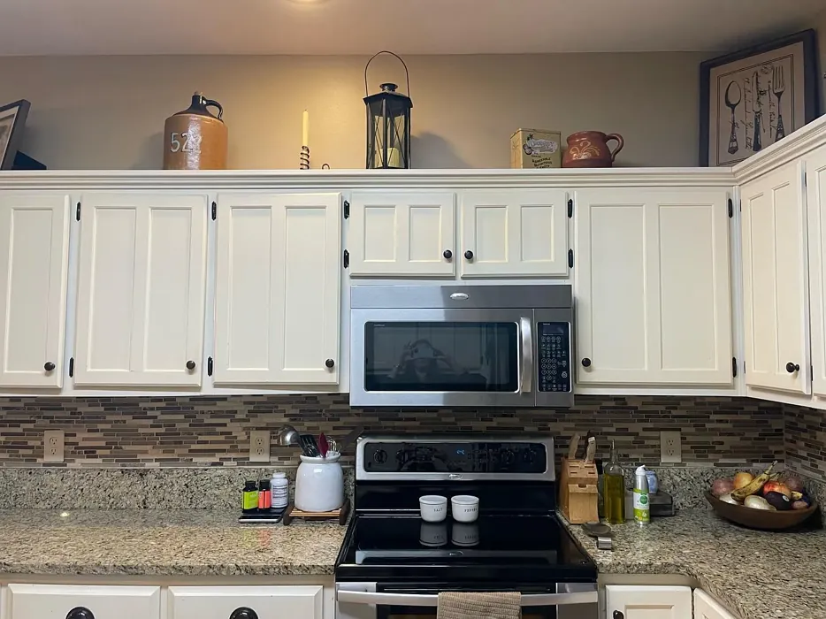 SW Heron Plume kitchen cabinets color review