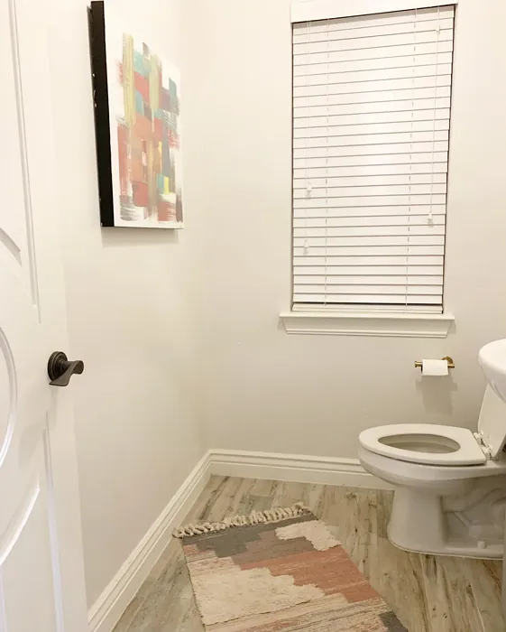 SW Heron Plume bathroom color review