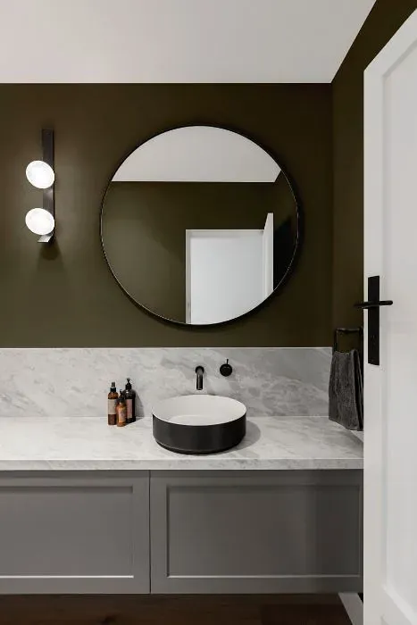 Sherwin Williams Hidden Trail minimalist bathroom