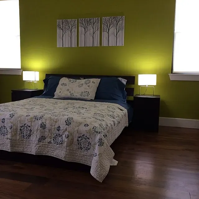 Sherwin Williams High Strung bedroom 