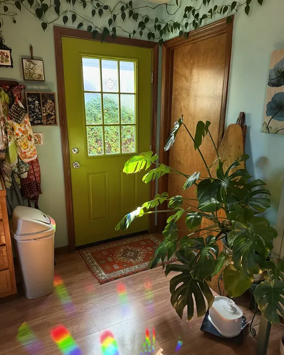 Sherwin Williams High Strung door color