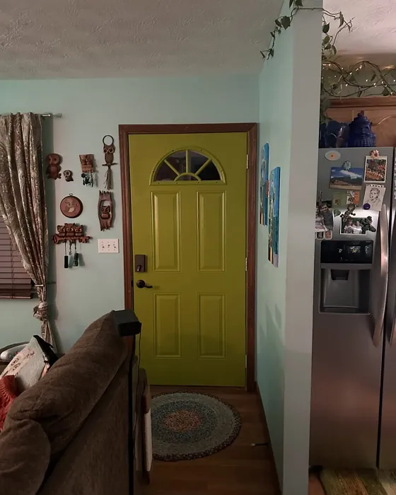 Sherwin Williams High Strung door paint