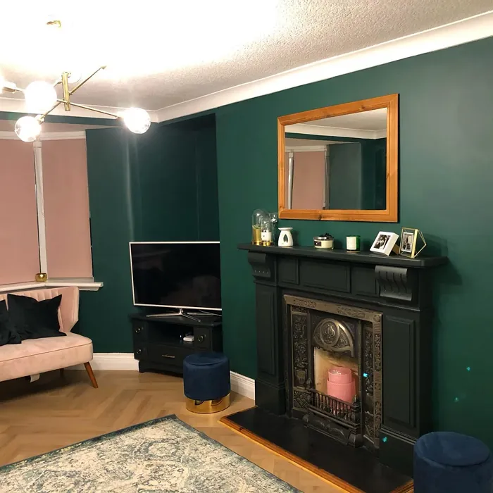 Dulux Highland Green living room interior