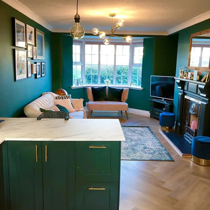 Dulux Highland Green living room color review