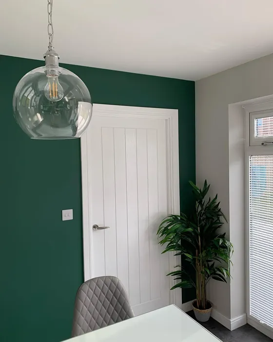 Dulux Highland Green dining room accent wall