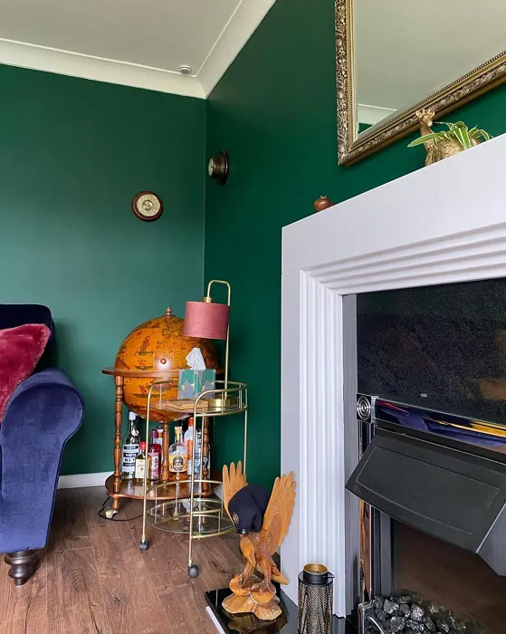 Dulux Highland Green stylish living room 