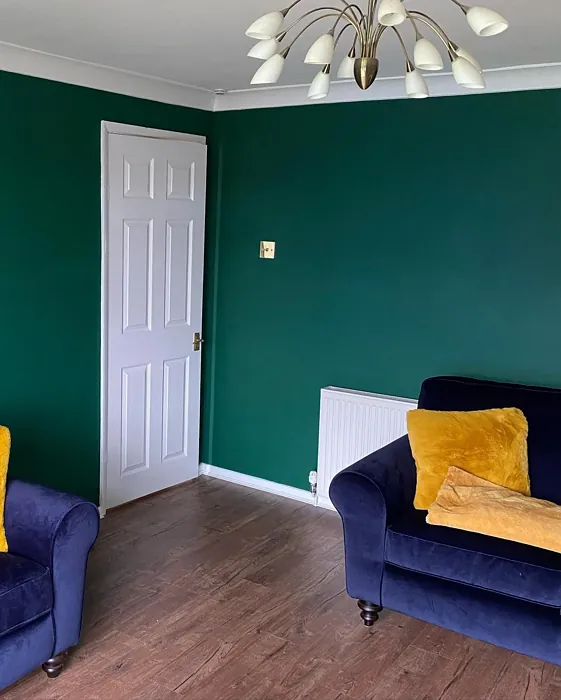 Dulux Highland Green stylish living room color