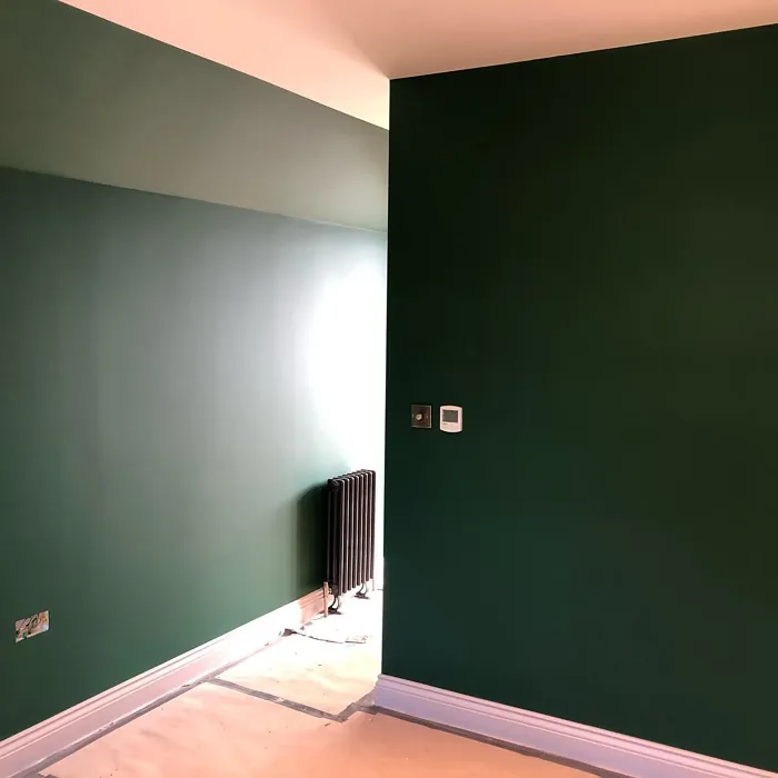 Dulux Highland Green boho wall paint review