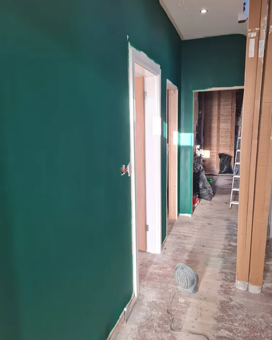 Dulux Highland Green boho hallway color