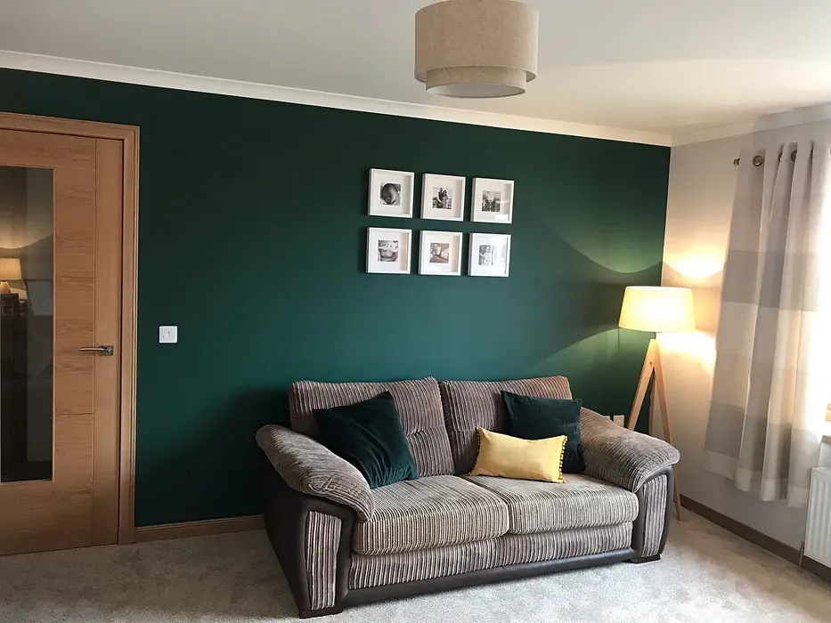 Dulux Highland Green living room color