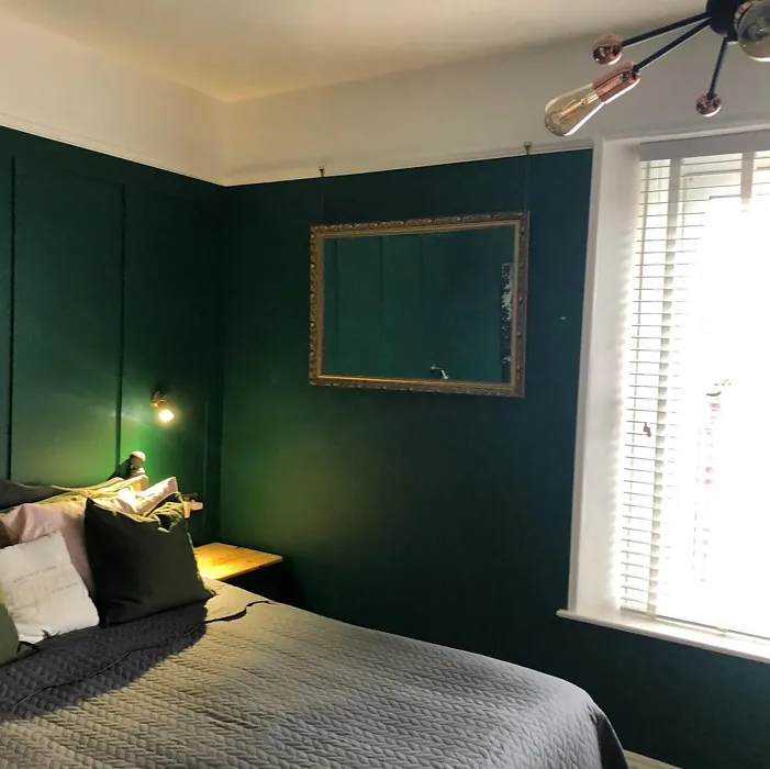 Dulux Highland Green bedroom paint