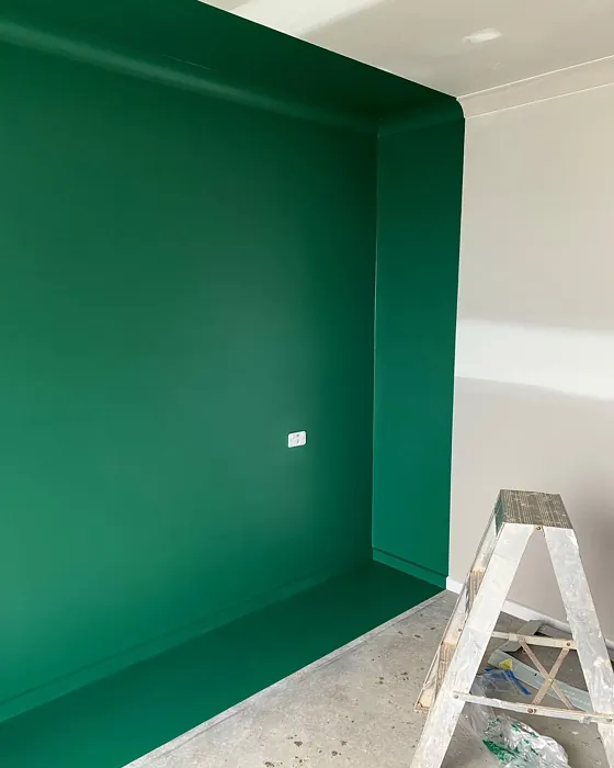 Dulux Highland Green wall paint 