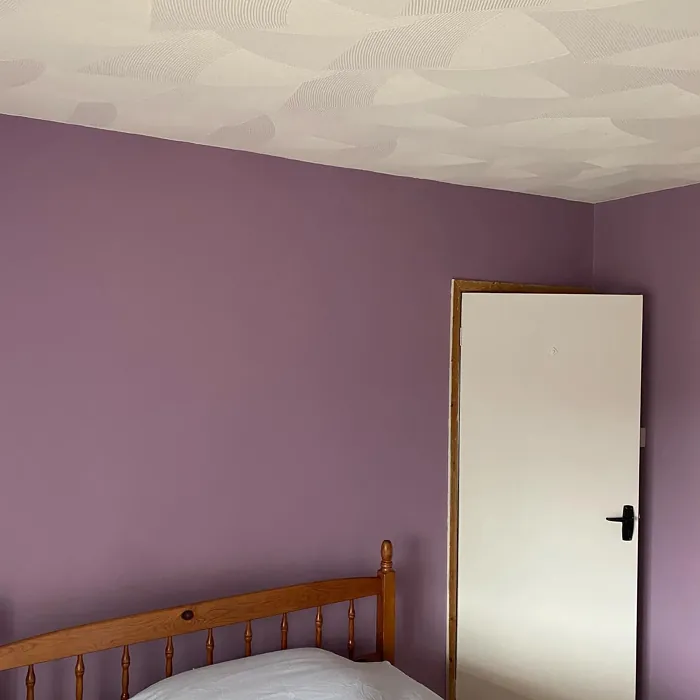 Frosted Grape bedroom accent wall