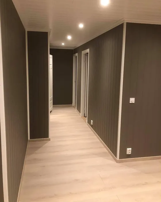 Jotun Hipster Brown hallway paint