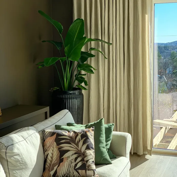 Jotun Hipster Brown cozy living room color