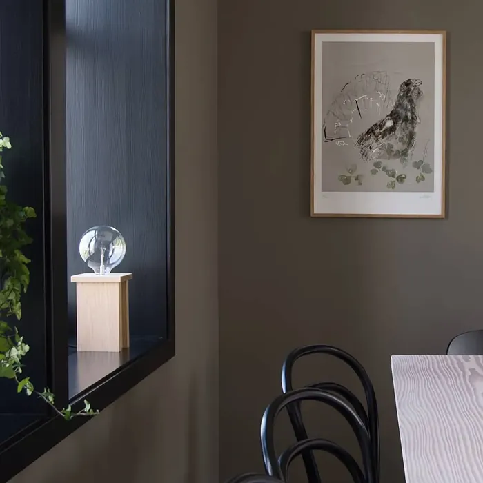 Jotun Hipster Brown dining room color