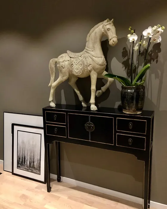 Jotun Hipster Brown hallway paint