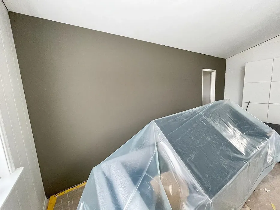 Jotun Hipster Brown accent wall 