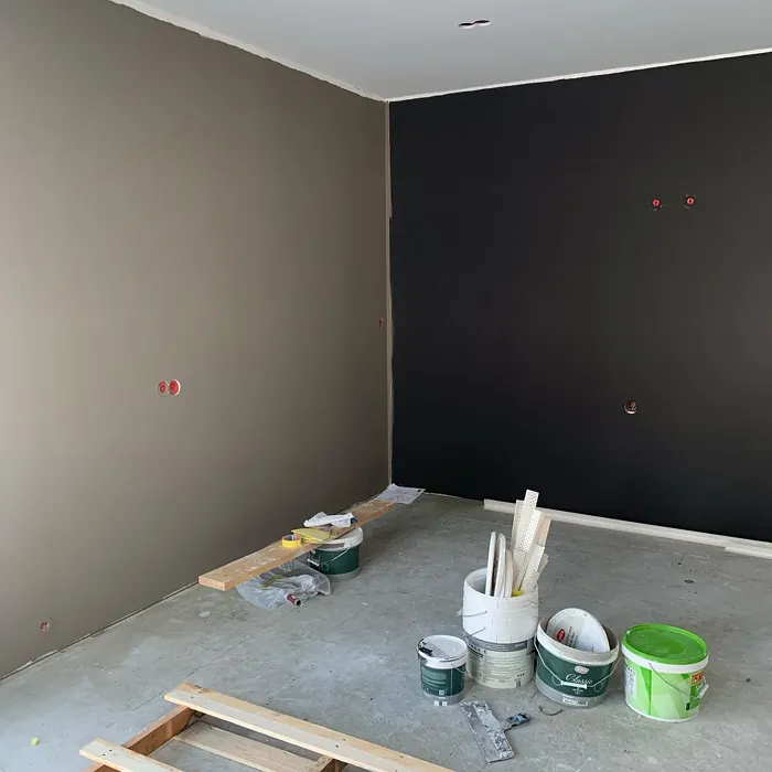 Hipster Brown wall paint 