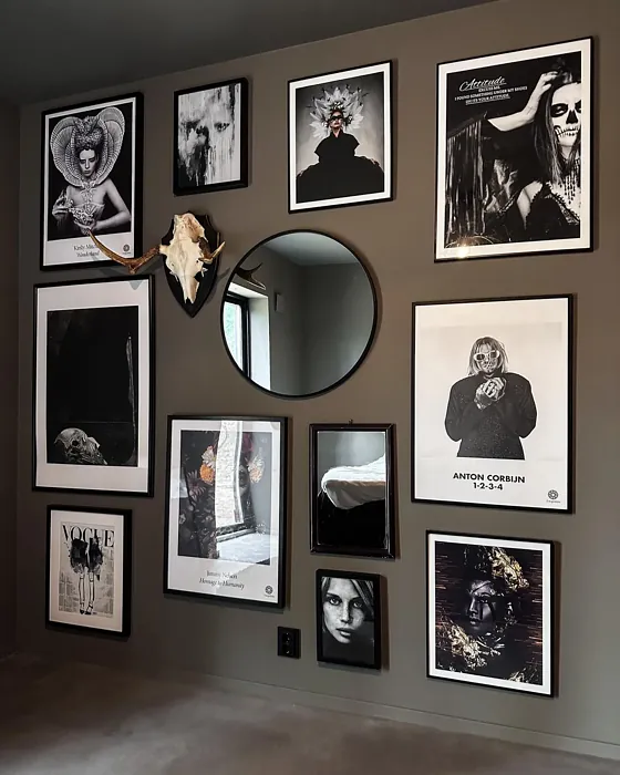 Jotun Hipster Brown wall paint review