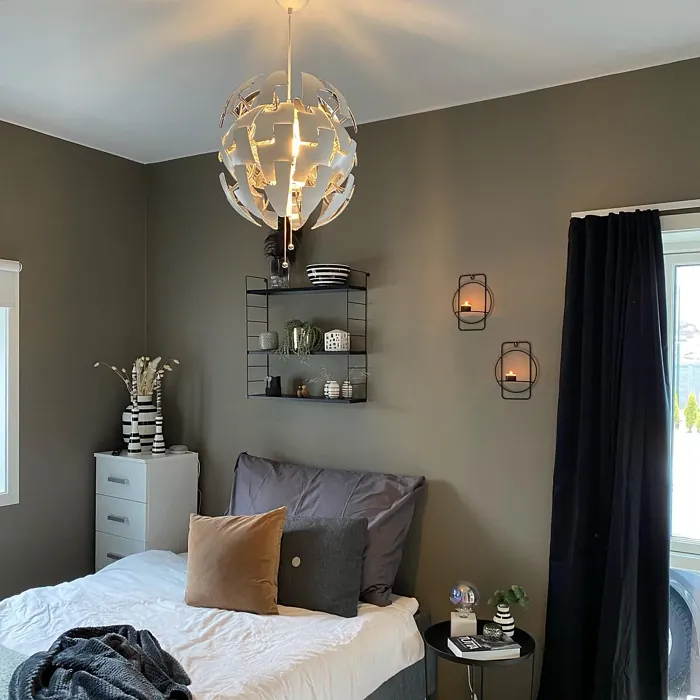 Hipster Brown bedroom color