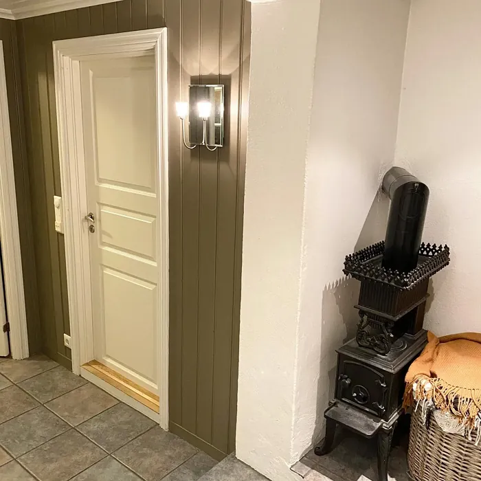 Hipster Brown hallway color