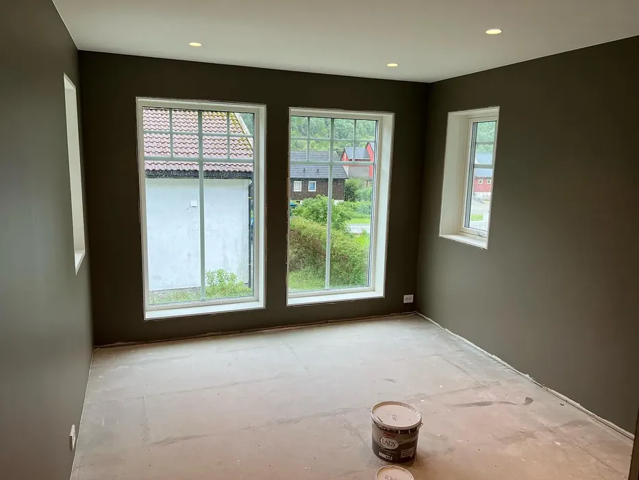 Hipster Brown wall paint makeover