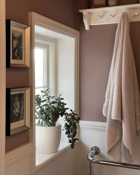 Little Greene Hollyhock bathroom paint