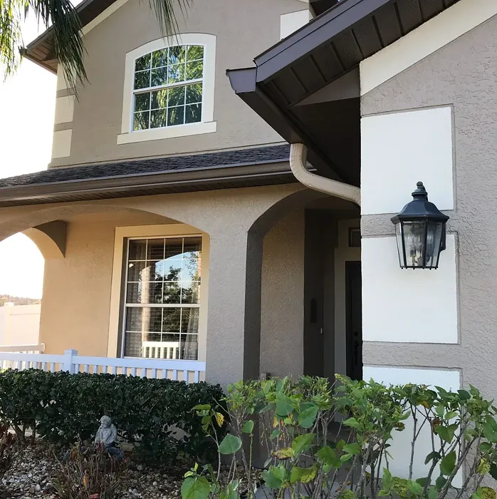 SW Homestead Brown exterior paint