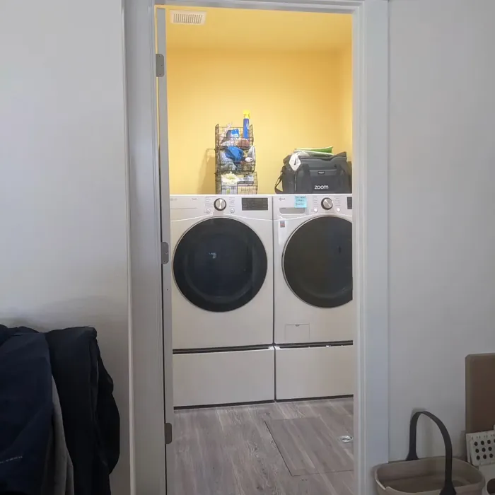 SW 9018 laundry room interior