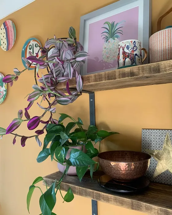 Honey Drizzle 2 wall paint color