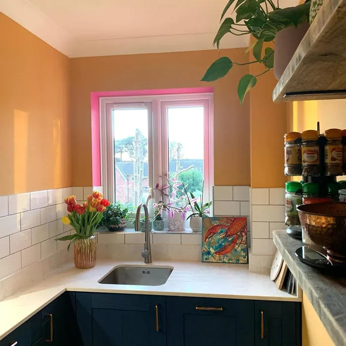 Honey Drizzle 2 kitchen color review