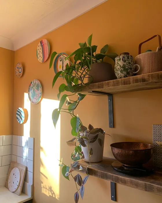 Dulux Honey Drizzle 2 kitchen paint