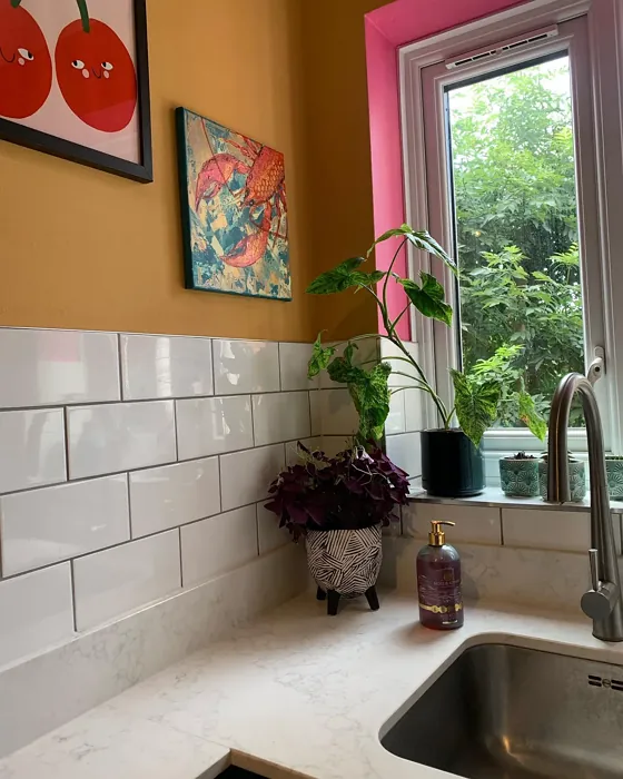 Dulux Honey Drizzle 2 kitchen paint review