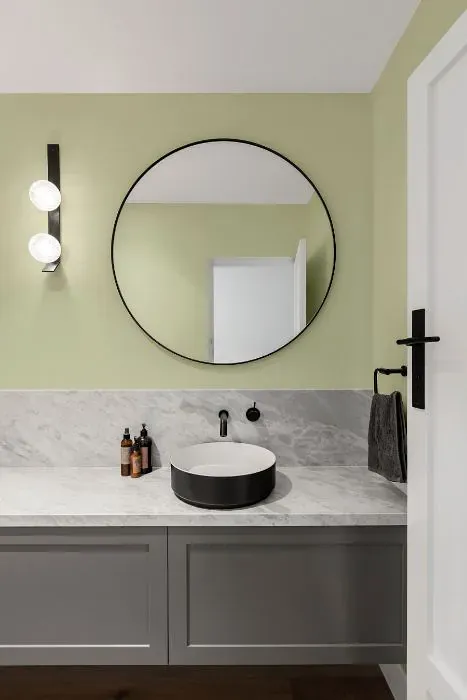 Sherwin Williams Honeydew minimalist bathroom