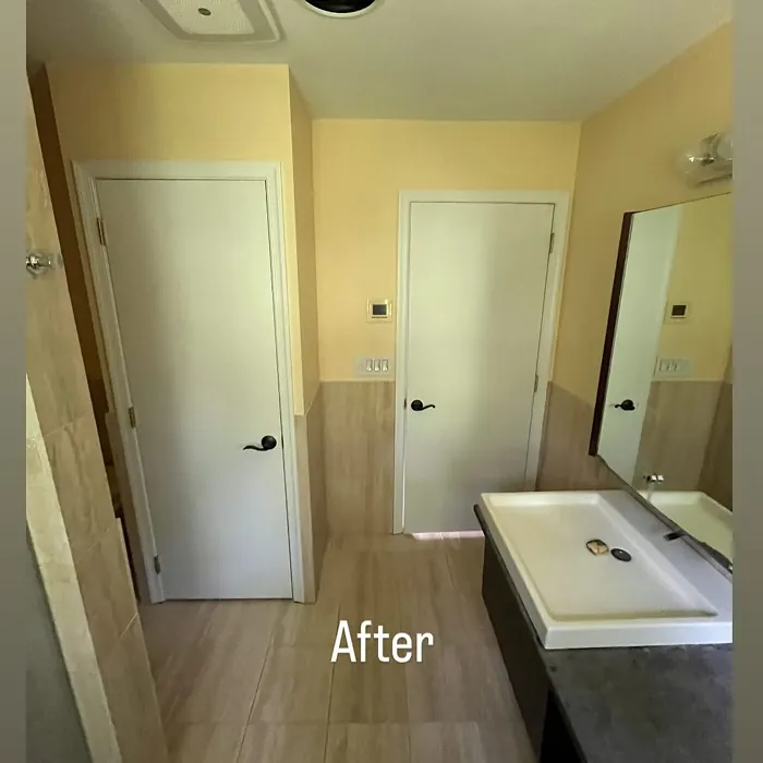 Sherwin Williams Honeypot bathroom color