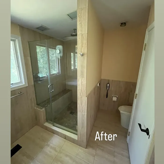 Sherwin Williams Honeypot bathroom paint review