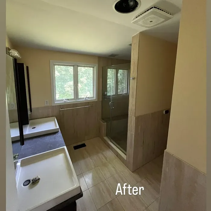 SW Honeypot bathroom paint review