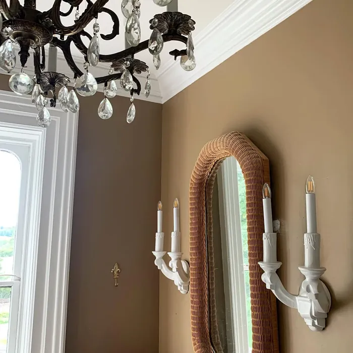 SW Hopsack bathroom color