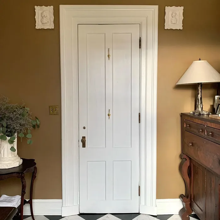 SW Hopsack bathroom color review