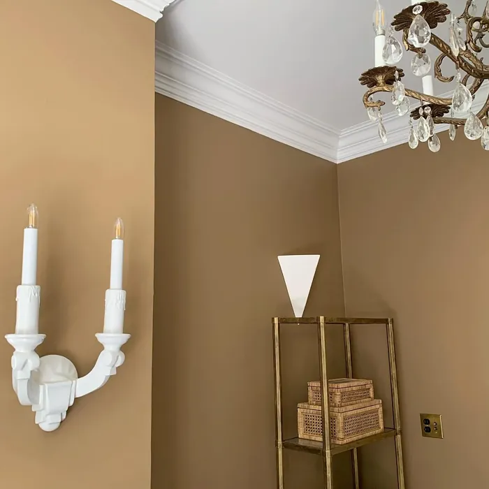 SW 6109 bathroom interior