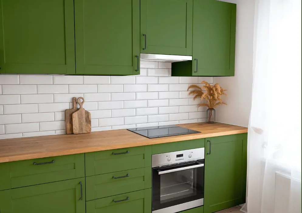 Sherwin Williams Houseplant kitchen cabinets