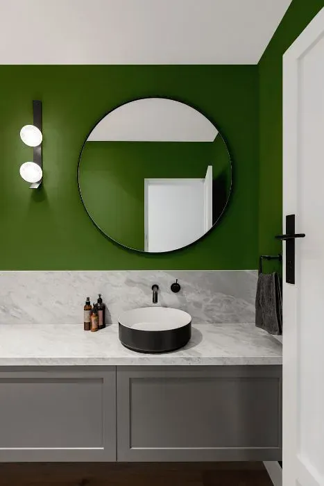 Sherwin Williams Houseplant minimalist bathroom