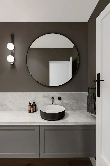 Sherwin Williams Hulett Ore minimalist bathroom