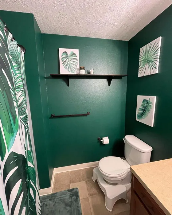 Sw Hunt Club Bathroom