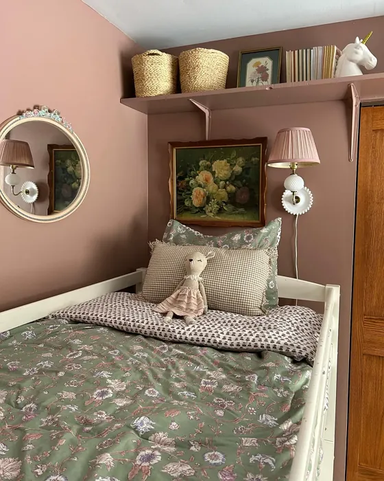 SW Hushed Auburn kids' room color