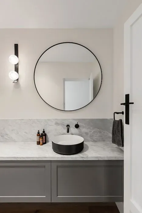 Sherwin Williams Ibis White minimalist bathroom