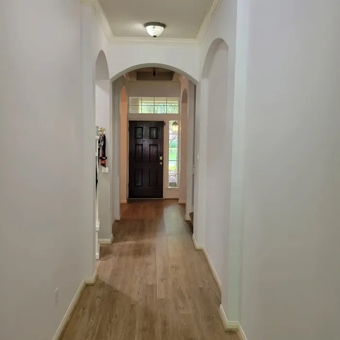 Sherwin Williams Ibis White hallway color