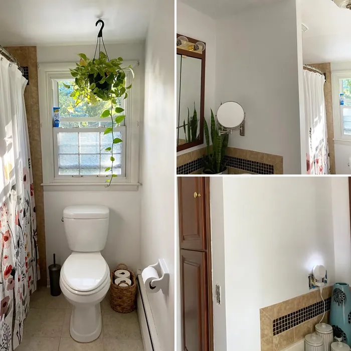 Sherwin Williams Ibis White bathroom 